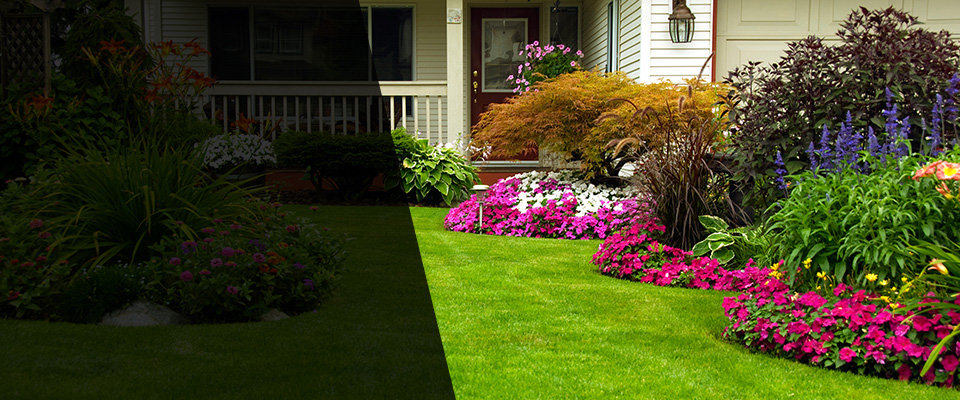 Raton Landscapers