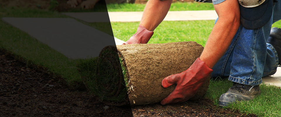 Raton Landscapers